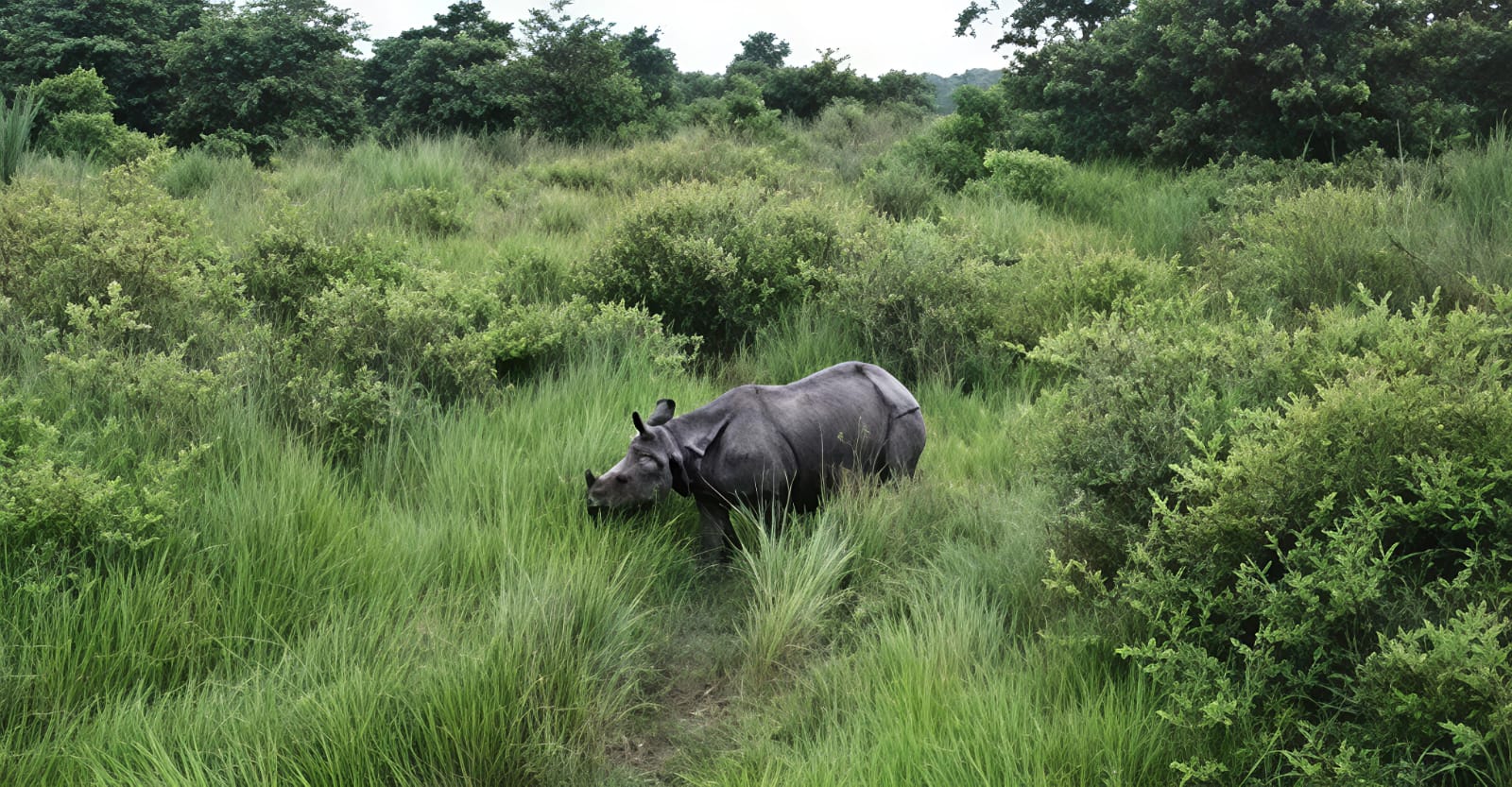 Parc National de Bardia 3
